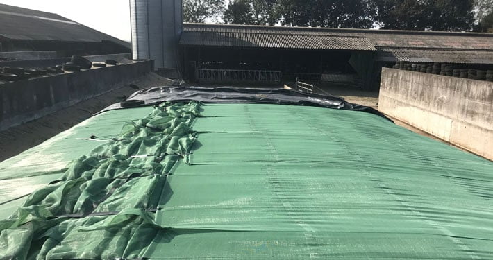 Roozendaal uit Molenaarsgraaf over Silage Safe